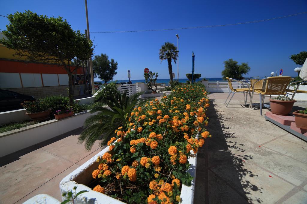 Hotel Albatros Torre Vado